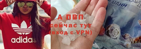 стаф Заводоуковск