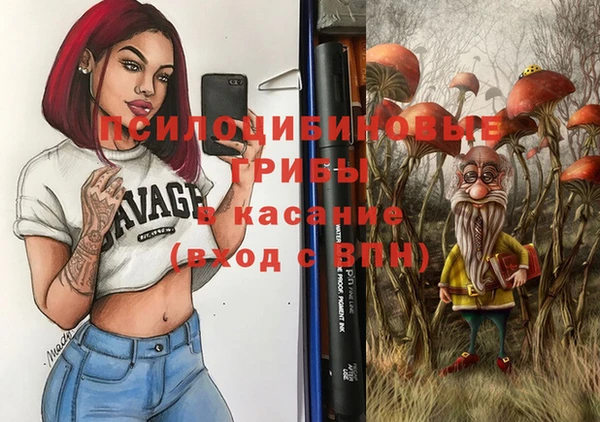 СК Новокубанск