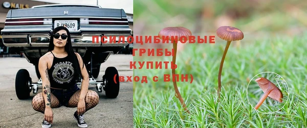 дмт Нефтегорск