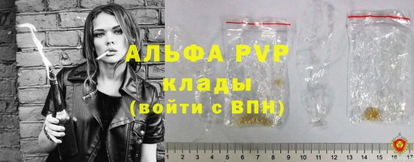 2c-b Новозыбков