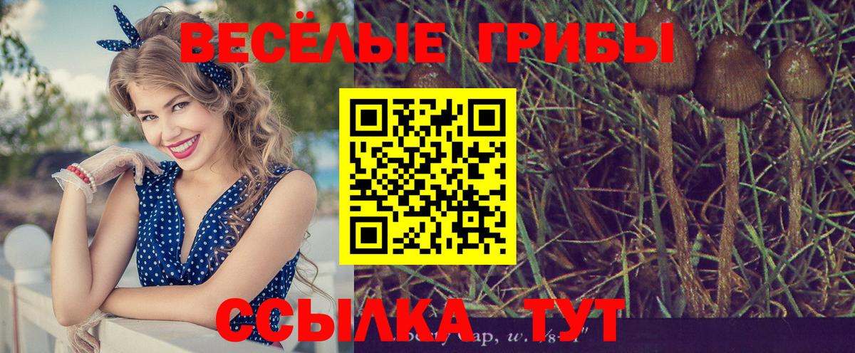 Нарткала  Псилоцибиновые грибы Psilocybine cubensis  Псилоцибиновые грибы Psilocybe  Вход с VPN 